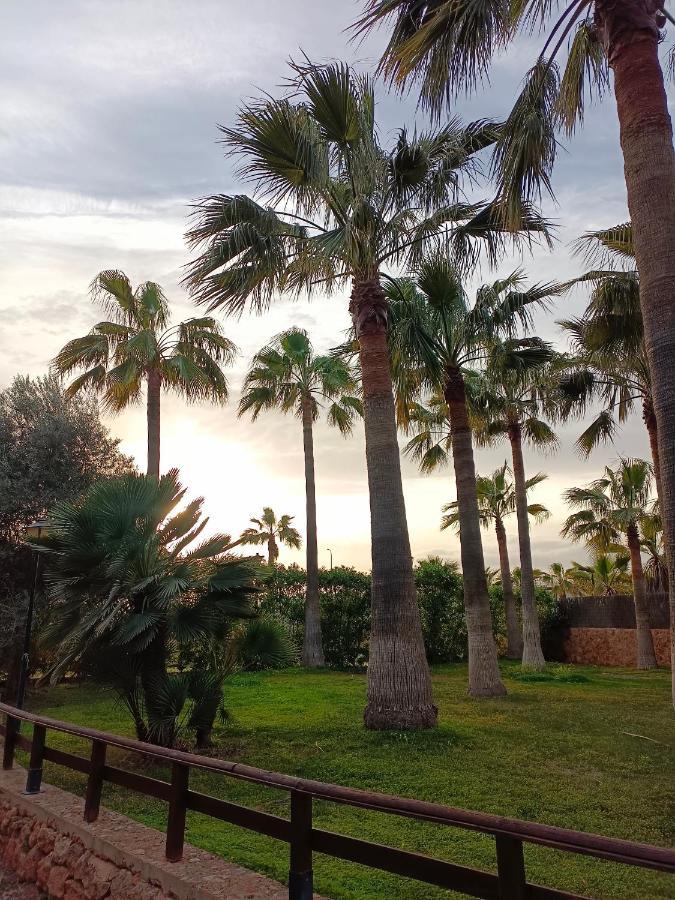 Agroturismo Finca Son Amora Palma de Mallorca Bagian luar foto