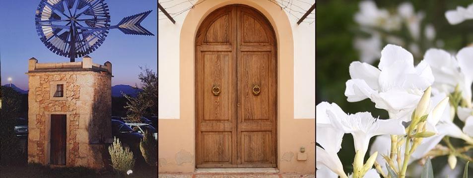 Agroturismo Finca Son Amora Palma de Mallorca Bagian luar foto